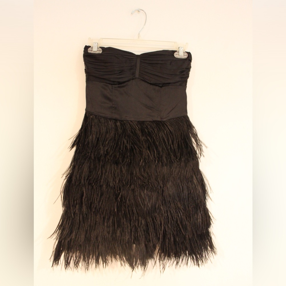 Express Ostrich Feather Dress